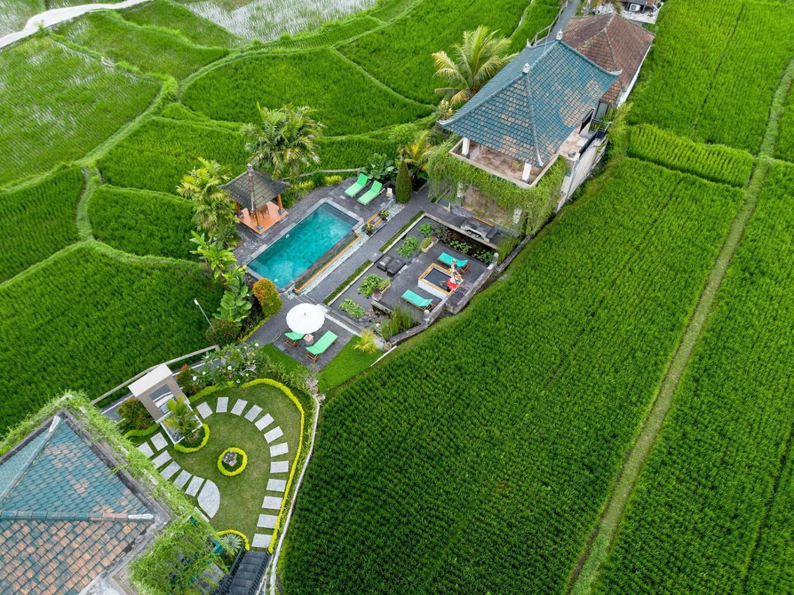 Cahaya Ubud Villa Εξωτερικό φωτογραφία