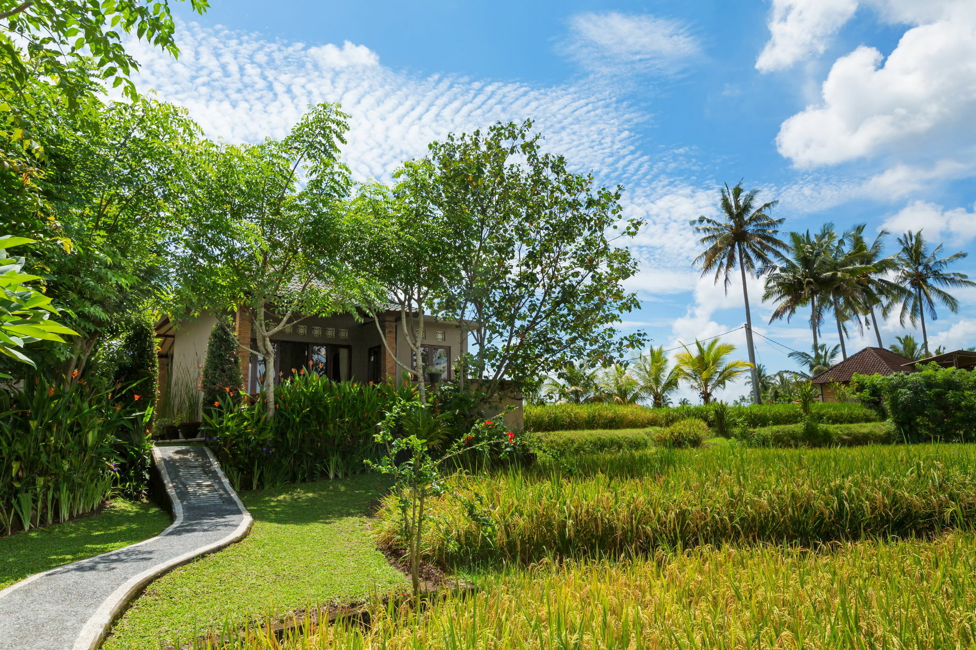 Cahaya Ubud Villa Εξωτερικό φωτογραφία